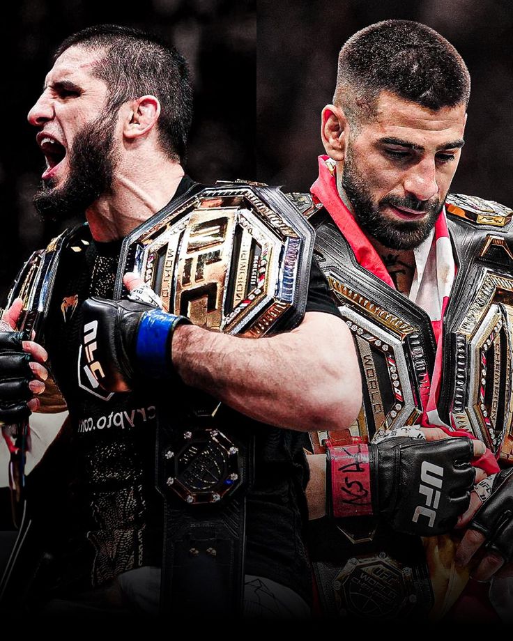 The Fight Fanatic tweet media