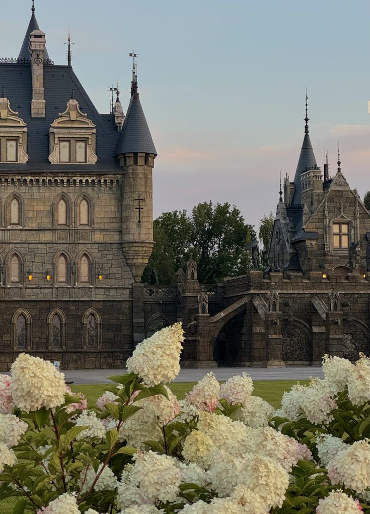 Malik Blackbeak Havilliard (@malikhavilliard) on Twitter photo 