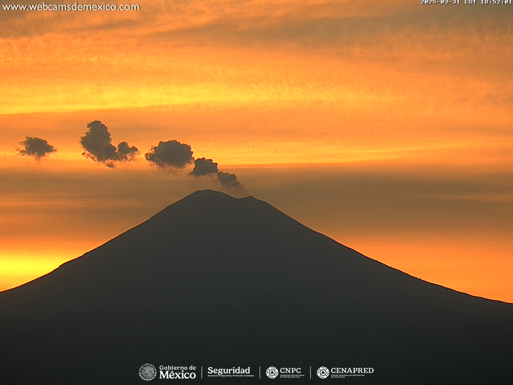 Webcams de México tweet media