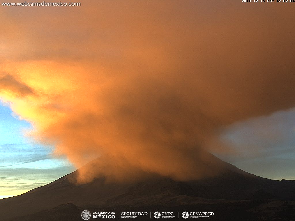 Webcams de México tweet media