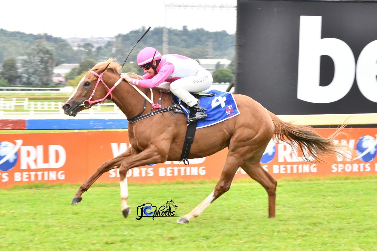 Mickaëlle Michel - ミカエルミシェル tweet media