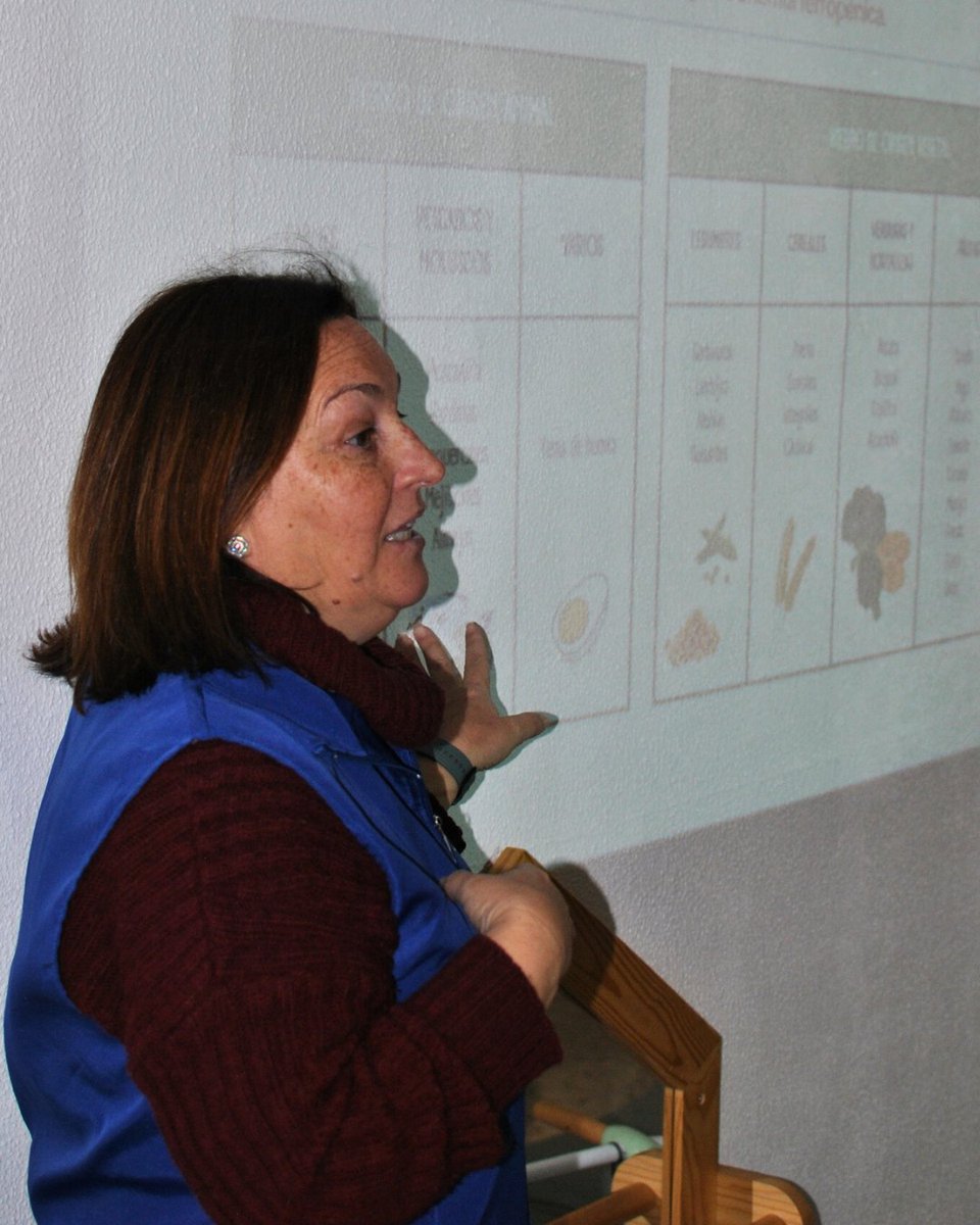 Banco de Alimentos de Sevilla tweet media