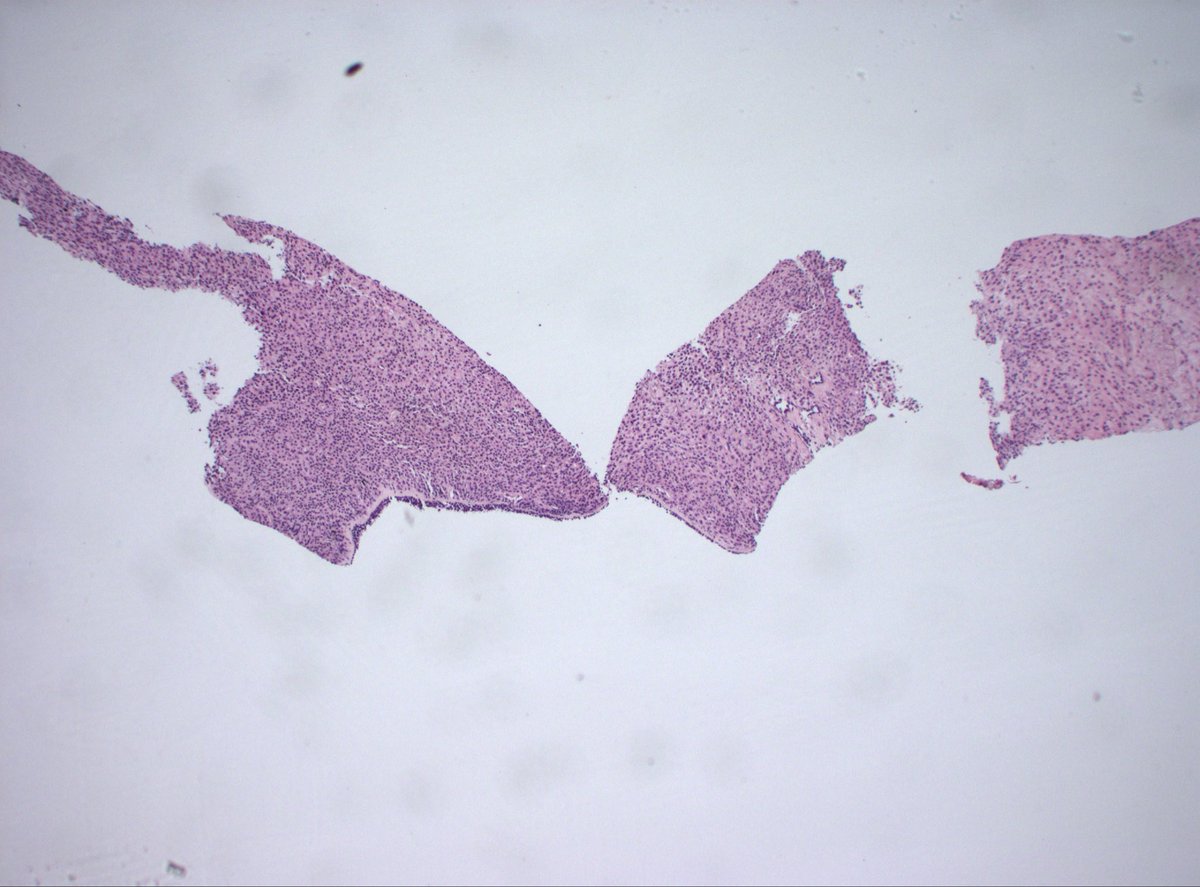 Dan Graham tweet media