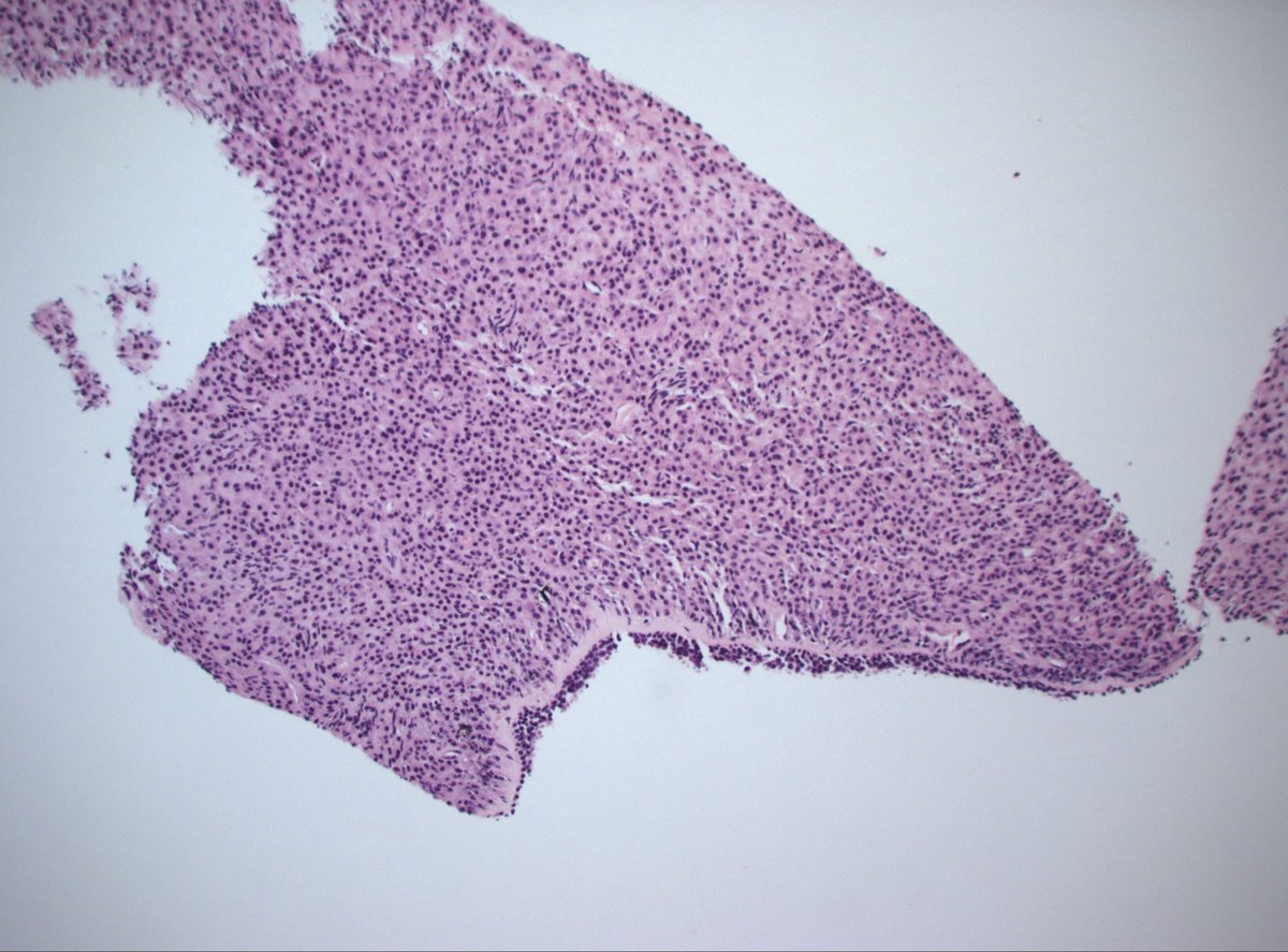 Dan Graham tweet media