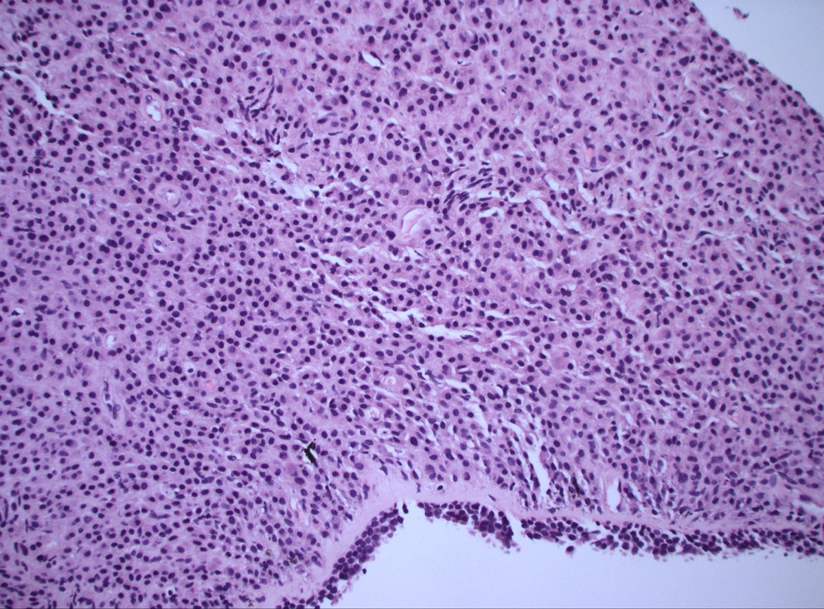 Dan Graham tweet media