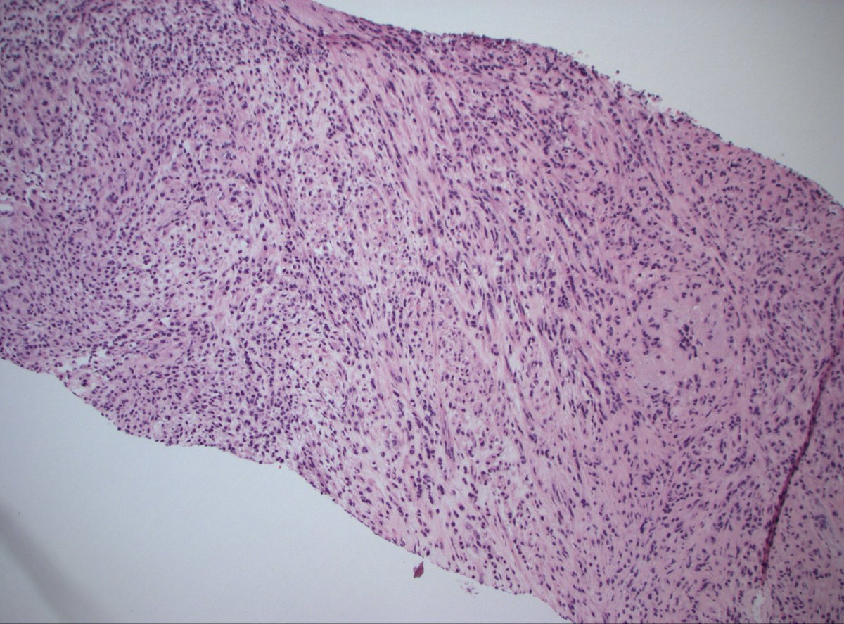 Dan Graham tweet media