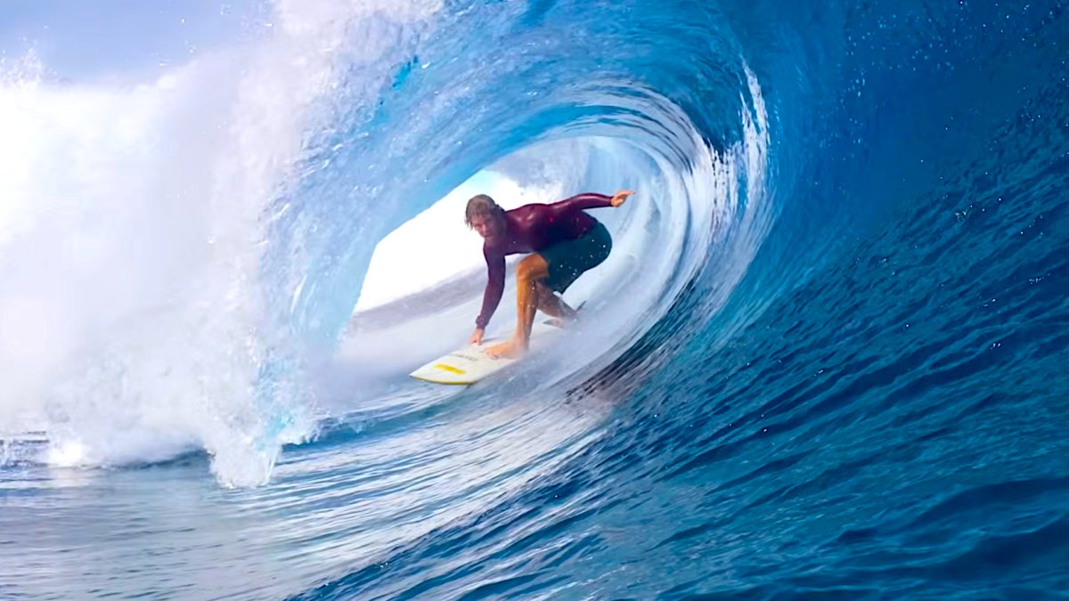 SURFER tweet media