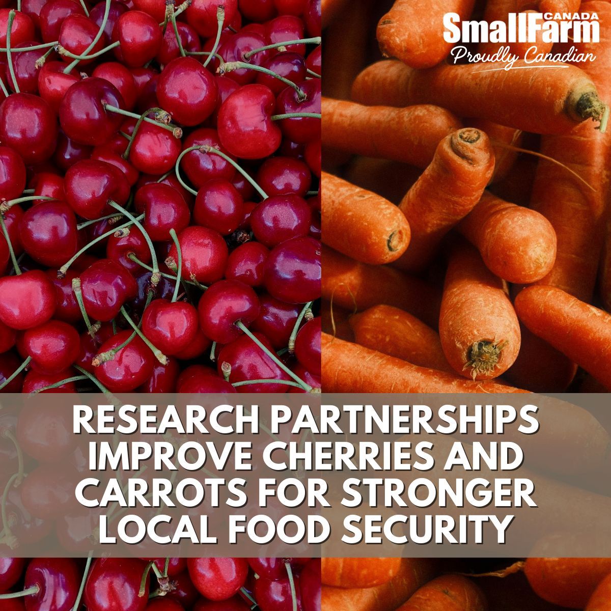 Small Farm Canada tweet media