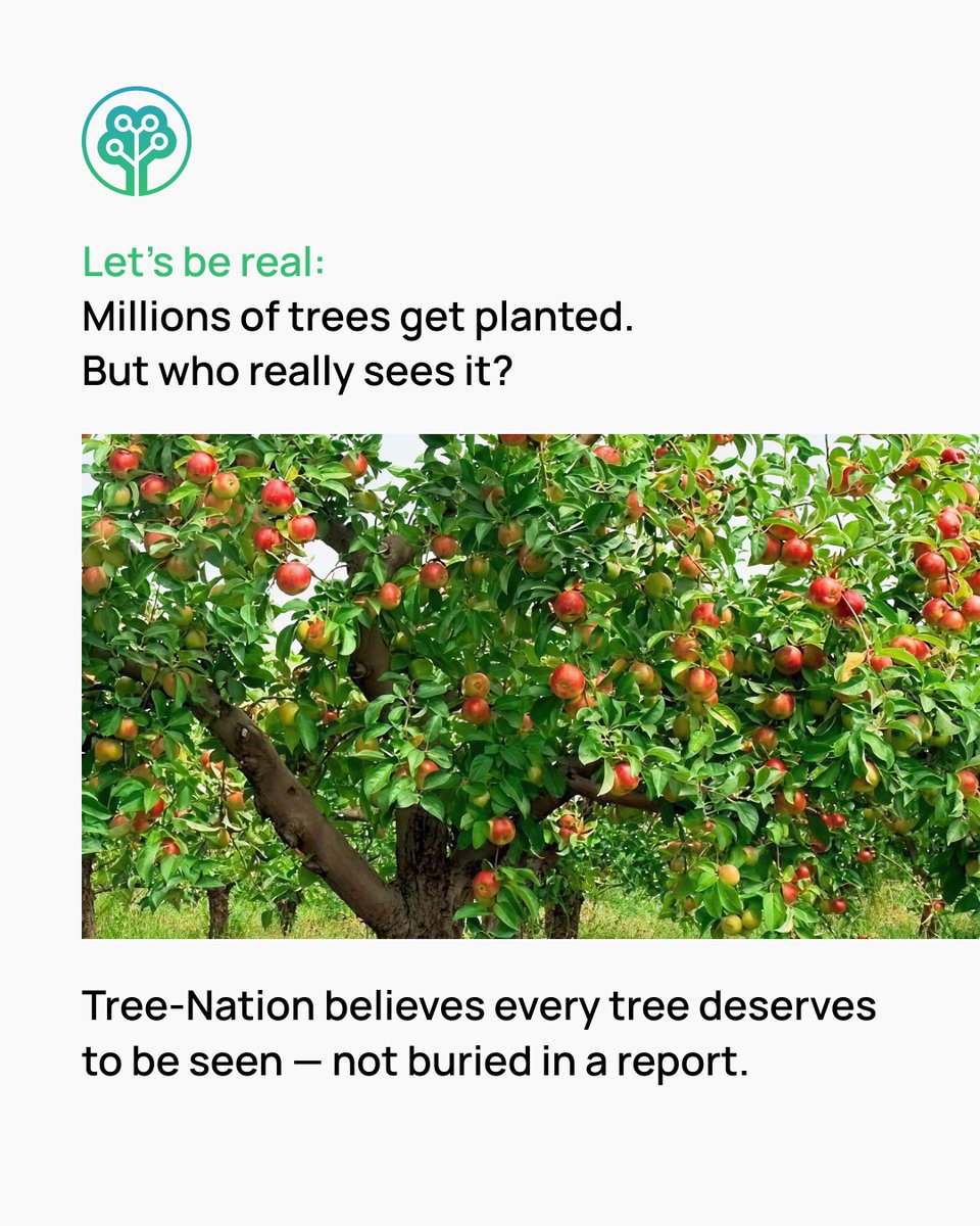 Tree-Nation tweet media