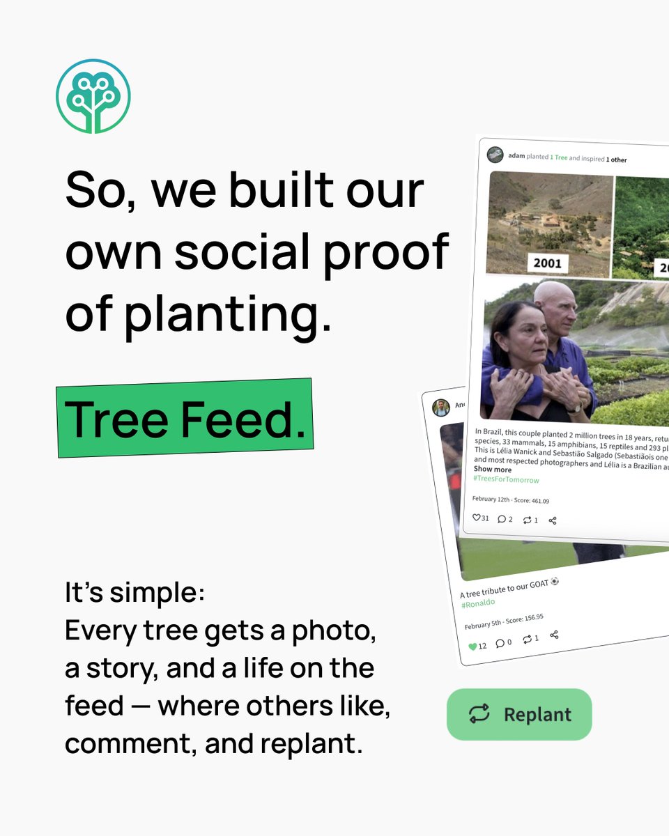 Tree-Nation tweet media