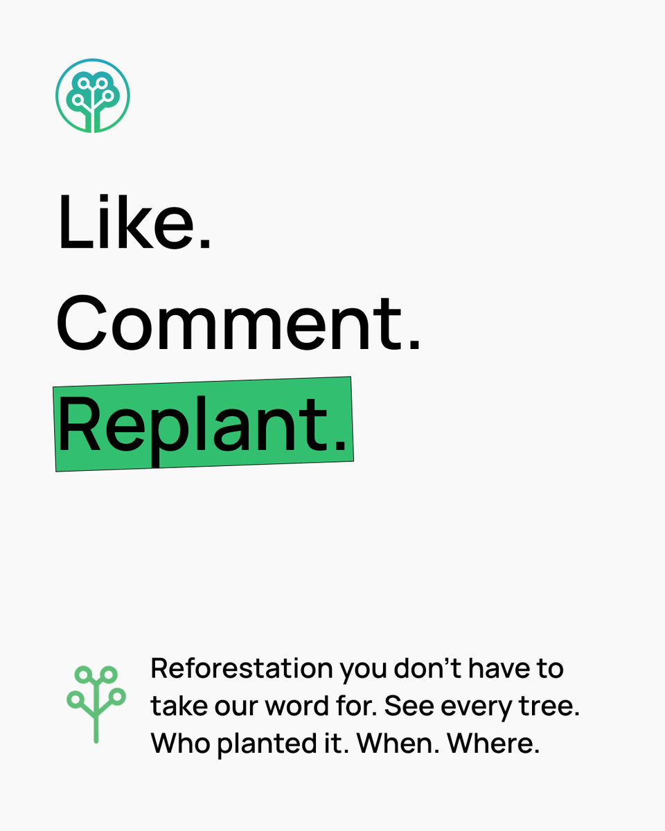 Tree-Nation tweet media