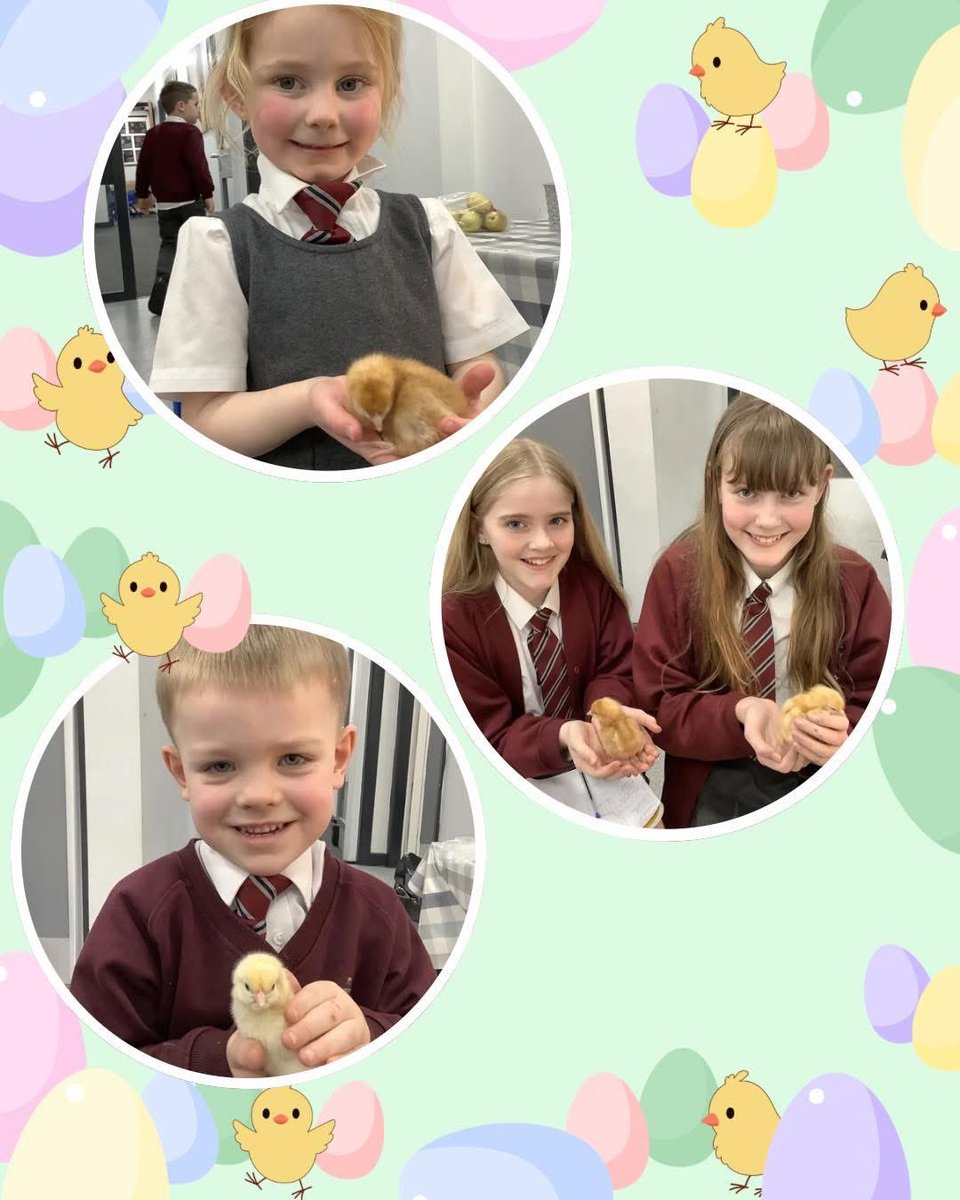 Trinity Academy St Chad's tweet media