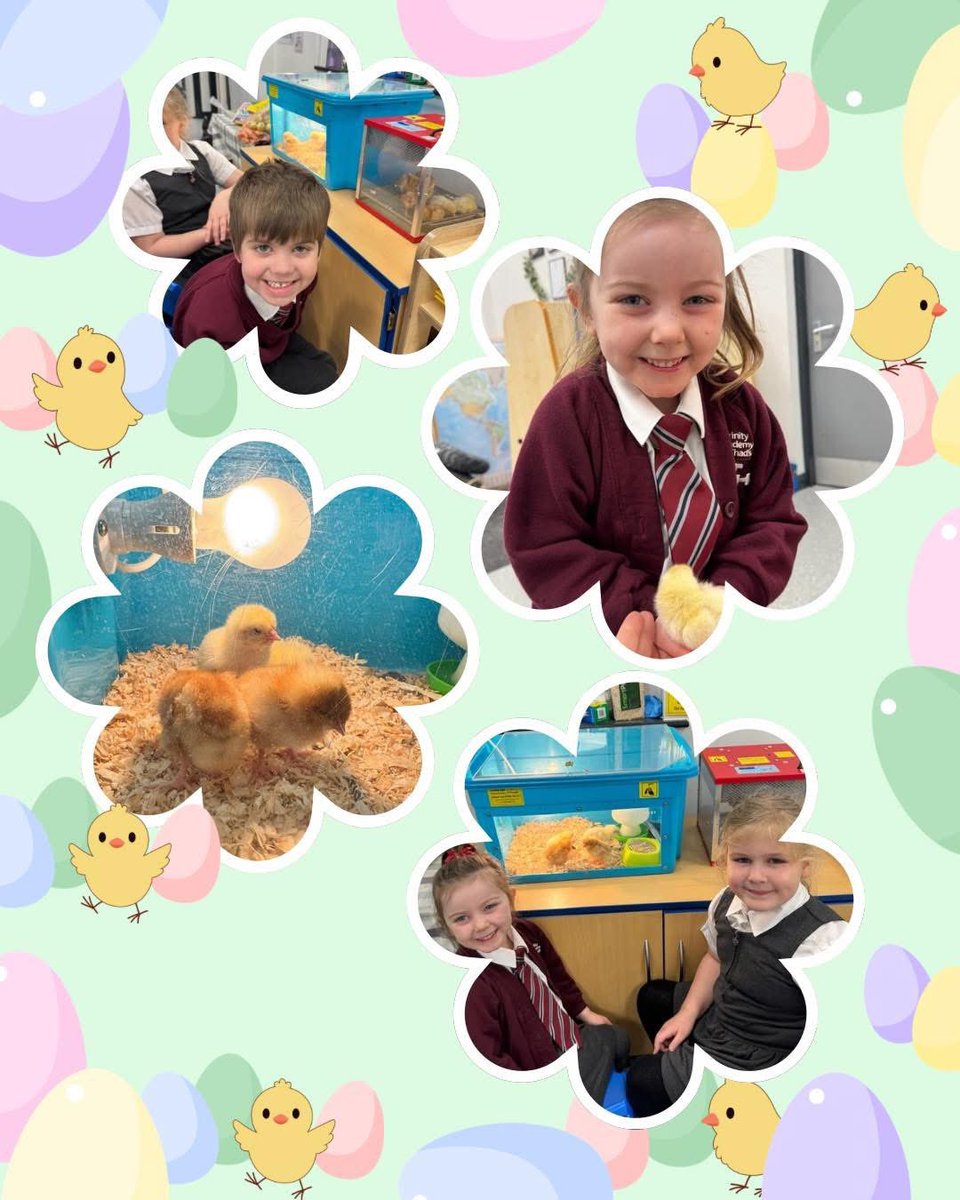 Trinity Academy St Chad's tweet media