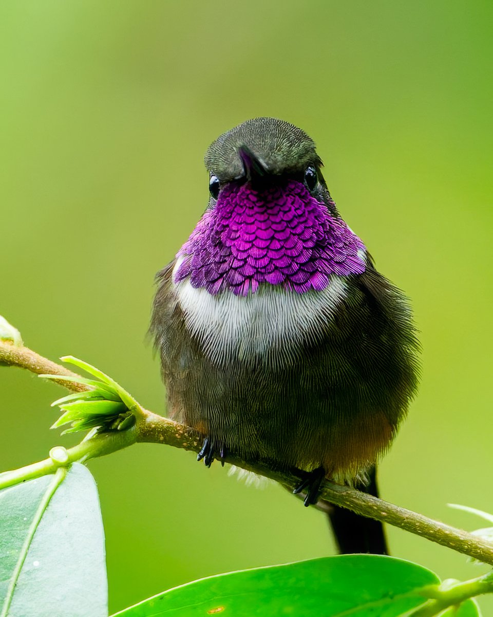 Caren Jahre tweet media