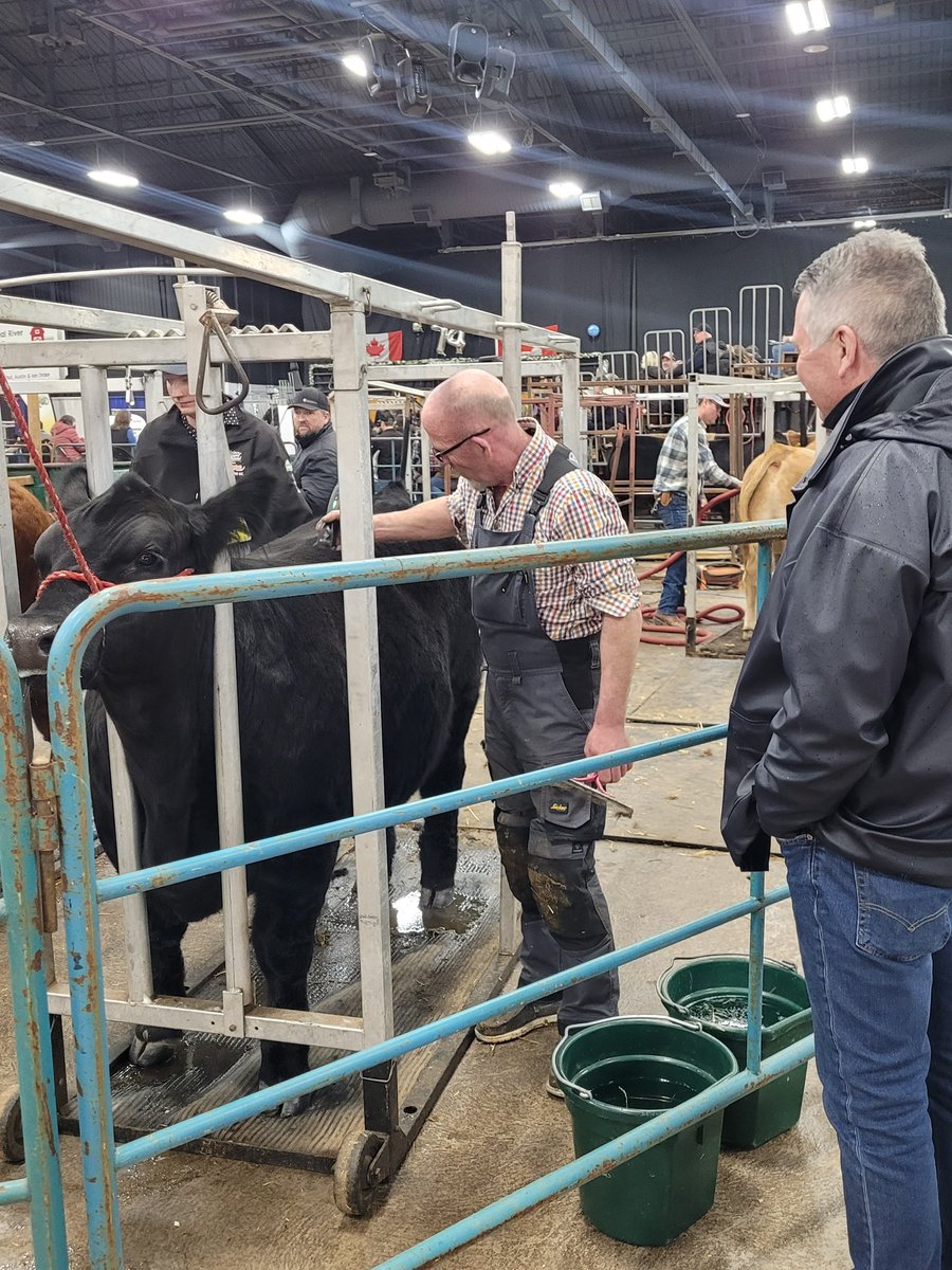 Heath MacDonald tweet media