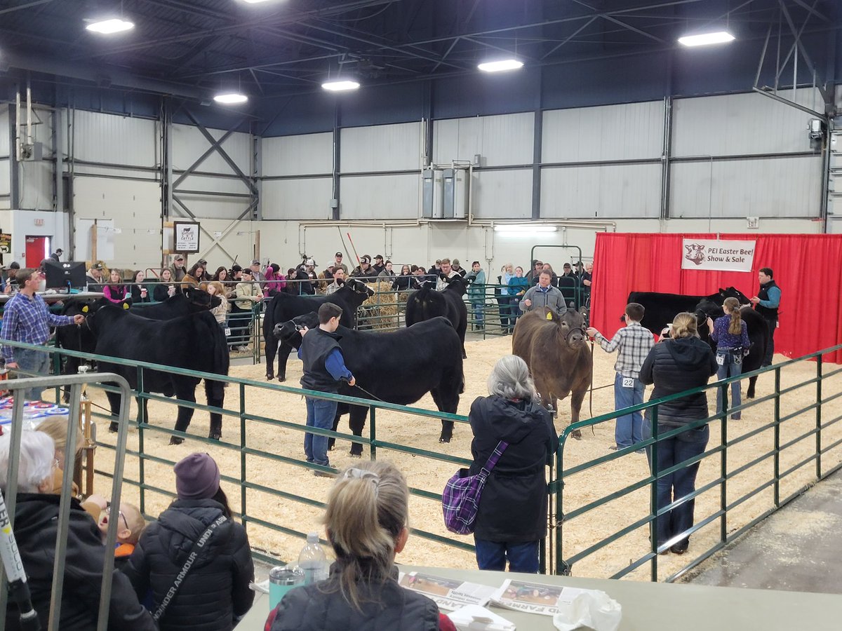 Heath MacDonald tweet media