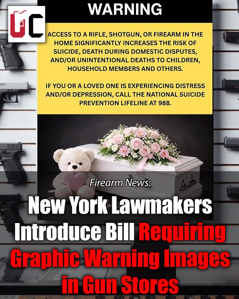 USA Carry tweet media