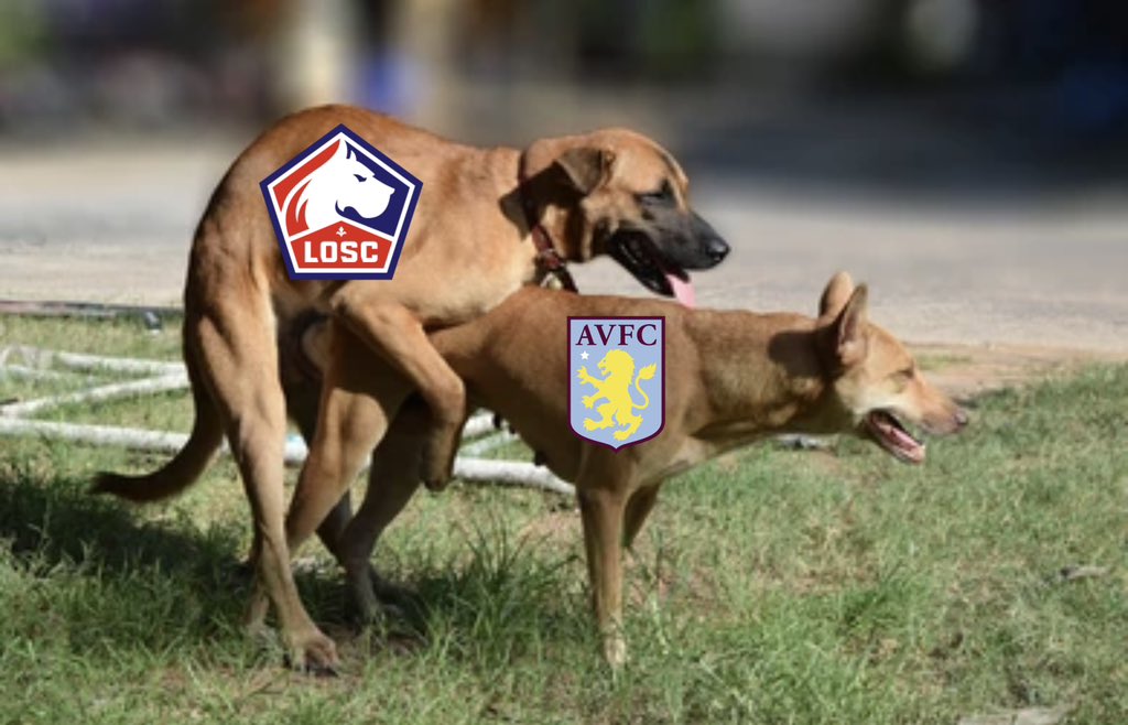 Lille Fans tweet media