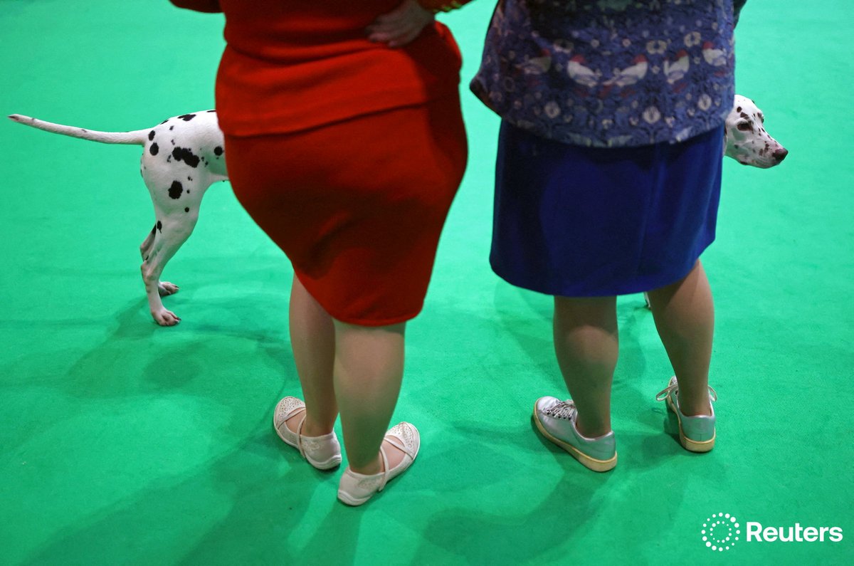 Reuters Pictures tweet media