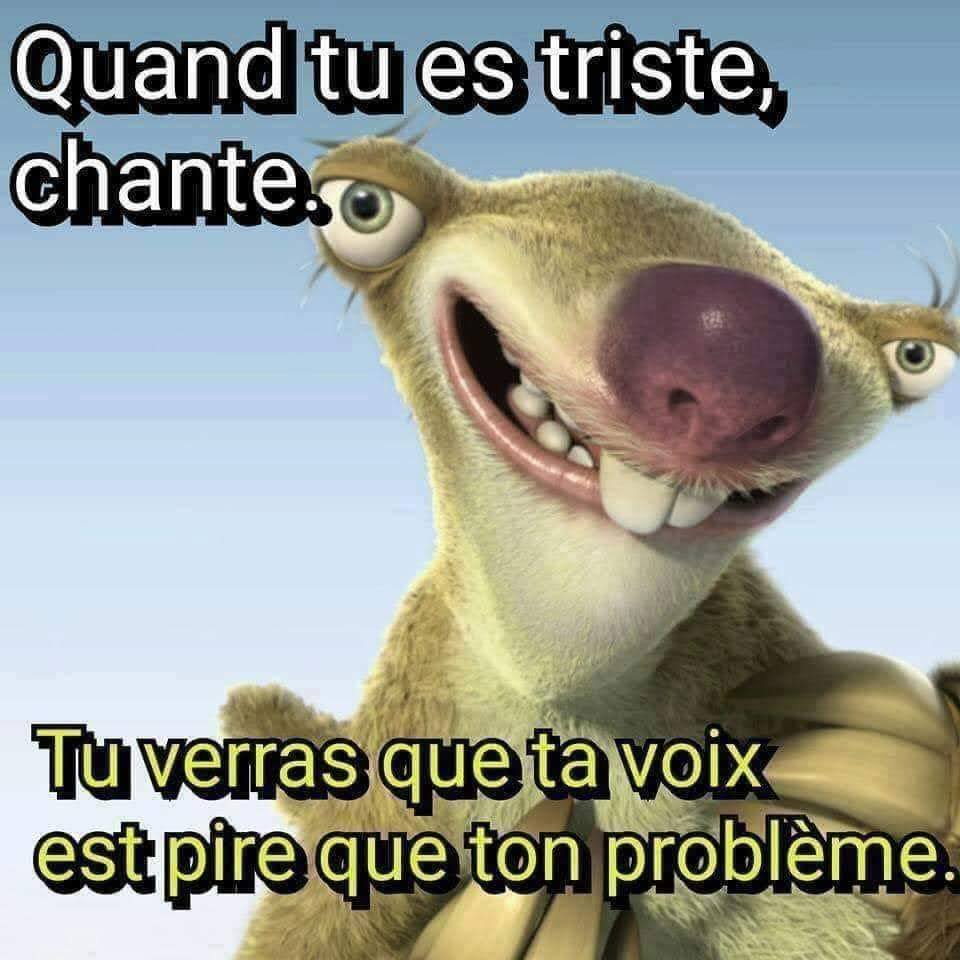 Sagesse Pure tweet media