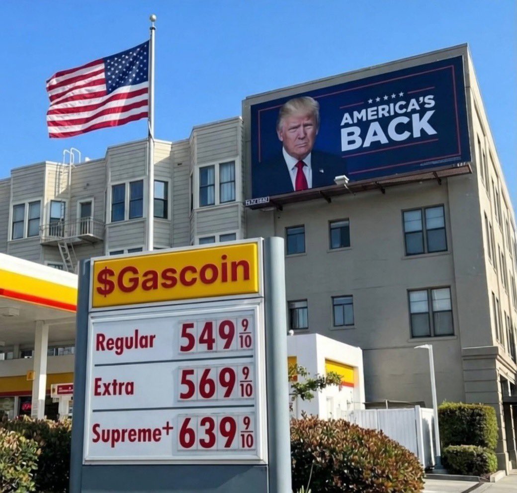 Trench Dog 1st division tweet media