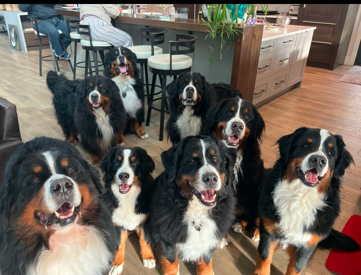 Steve Pollard tweet media