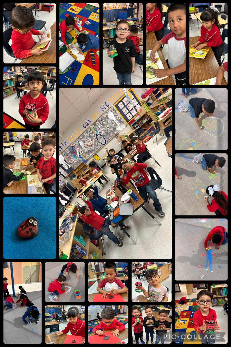 Edith Miranda tweet media