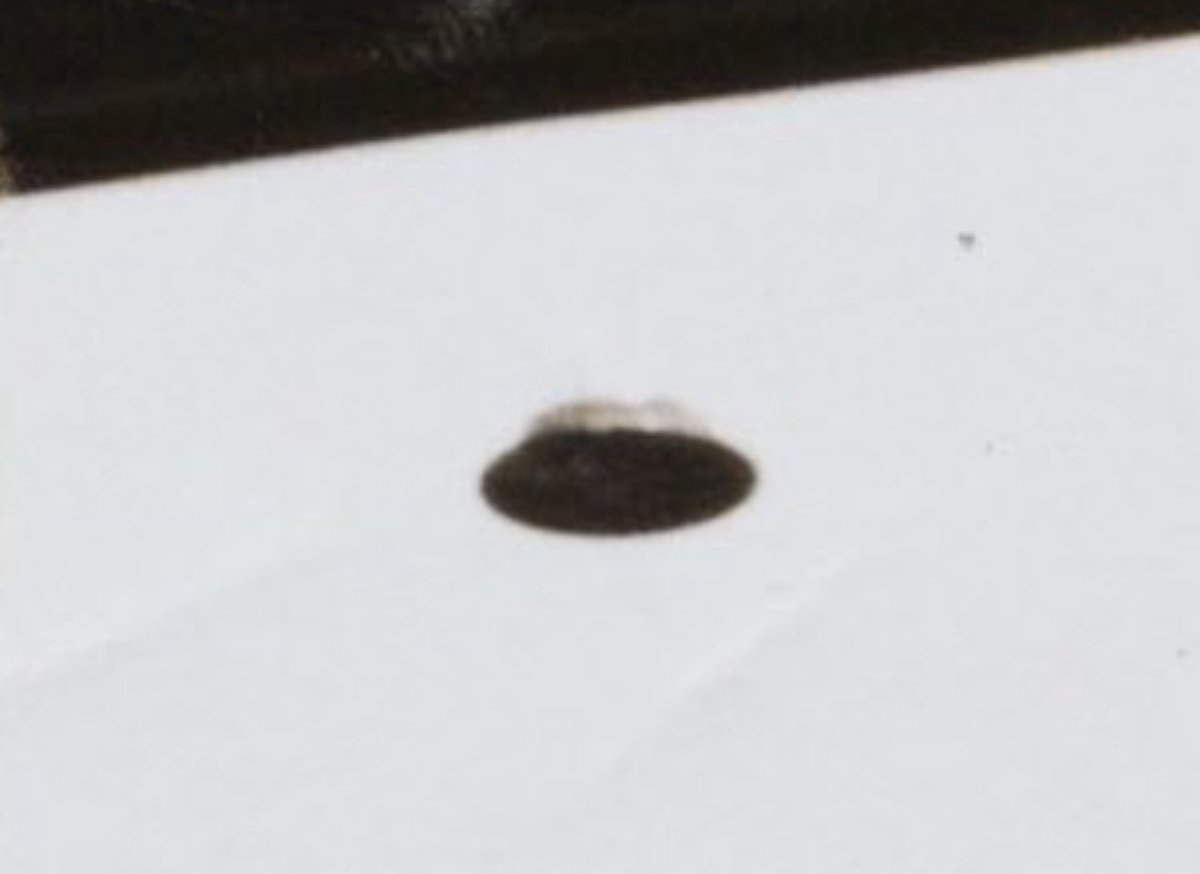 Jordan Crowder tweet media