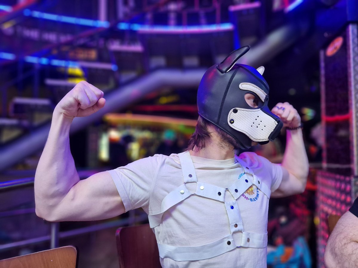 Pup Omnis 🔜 HOWL tweet media