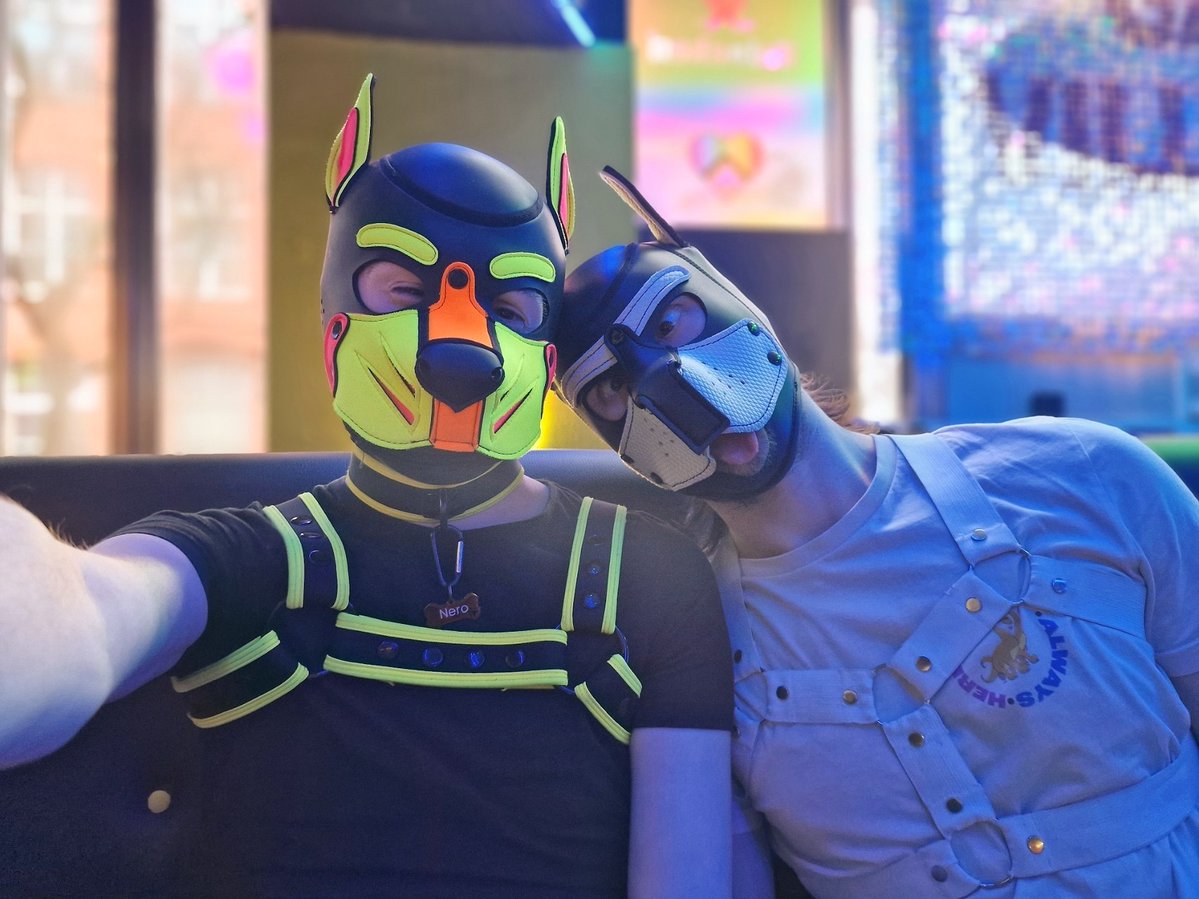 Pup Omnis 🔜 HOWL tweet media