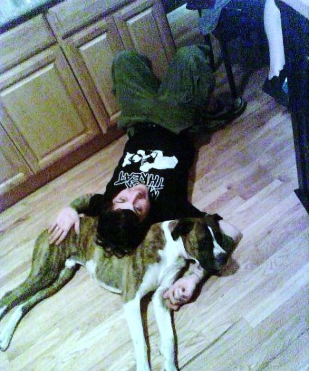 Frank with fat dog daily (@frankfatdog) on Twitter photo 