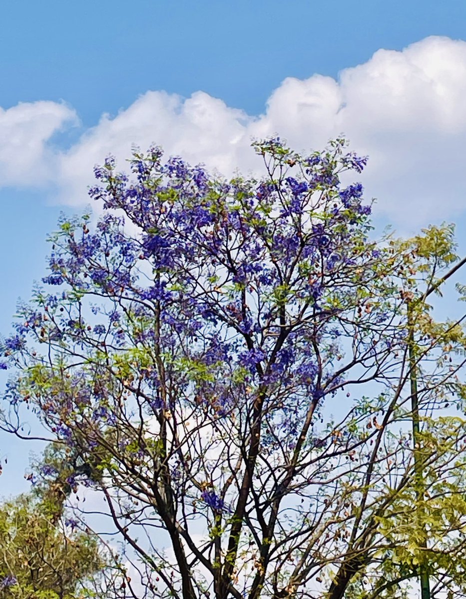 Porque el viento me grita tu nombre y huele a ti… ♪
