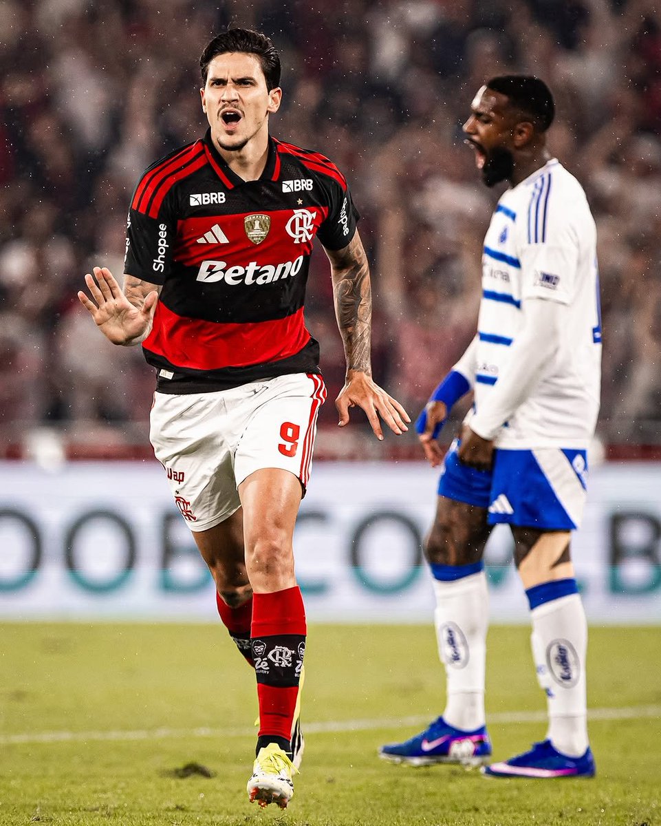 Central do Fla tweet media