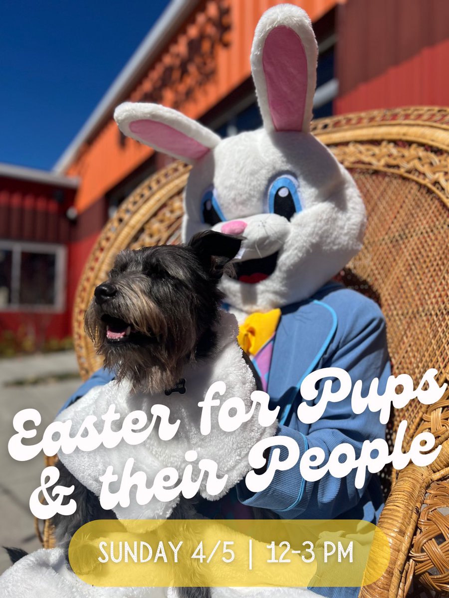 Fireforge Crafted Beer tweet media