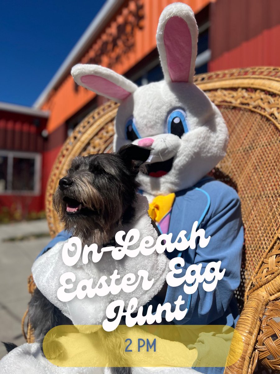 Fireforge Crafted Beer tweet media