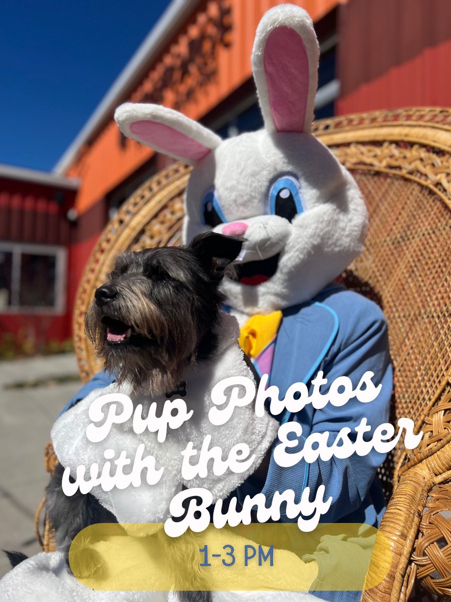 Fireforge Crafted Beer tweet media