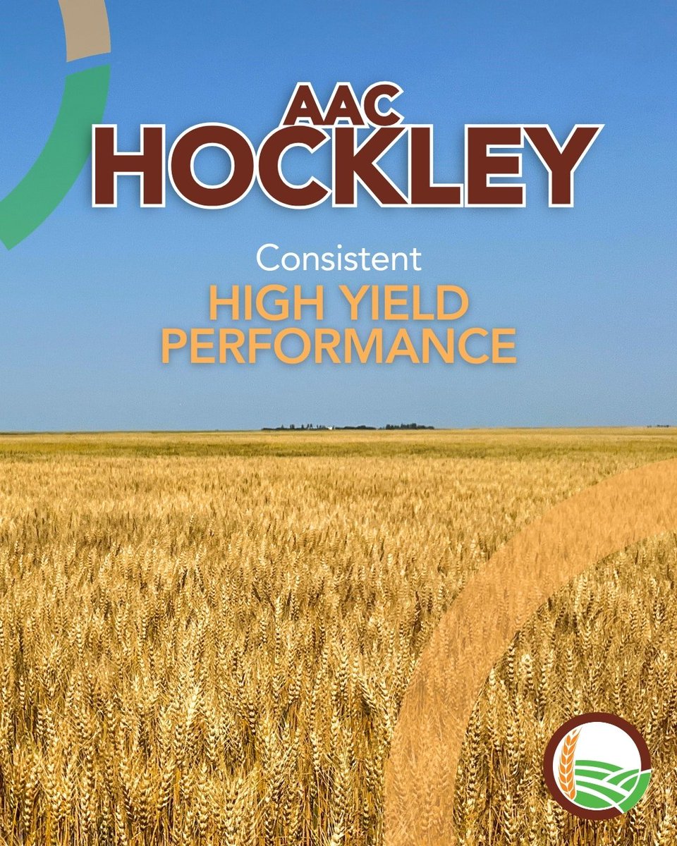 FP Genetics tweet media