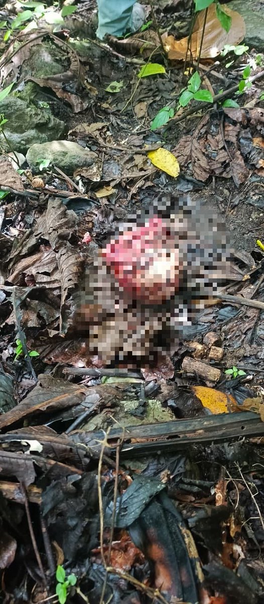 EstebanACopa1's tweet photo. #LaAsunta 
EN EL MUNICIPIO DE ASUNTA - LA PAZ, UN COMUNARIO  HABRÍA SIDO ATACADO POR UN FELINO.
Según reportes locales, un Jaguar habría atacado a un comunario sacándolo de su propia vivienda para luego arrastrar hasta unos 300 metros, pobladores se encuentran consternados. https://t.co/QH6MeeLd6u