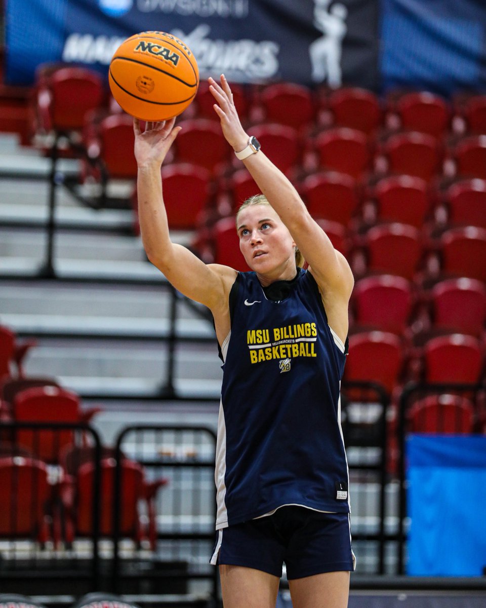 MSUB Women's Basketball tweet media