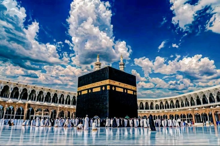 م.ن.حیدر tweet media