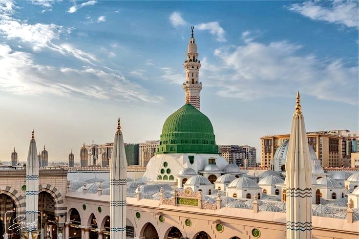 م.ن.حیدر tweet media