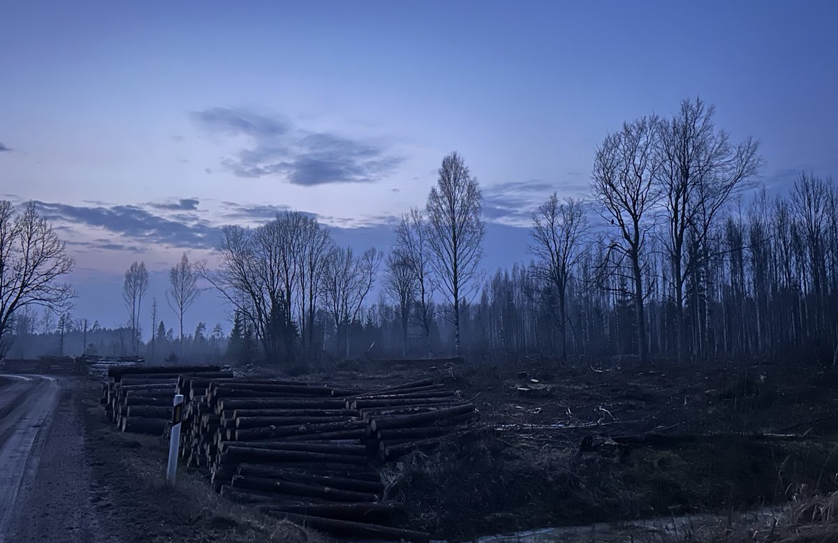 Miles Cluff tweet media