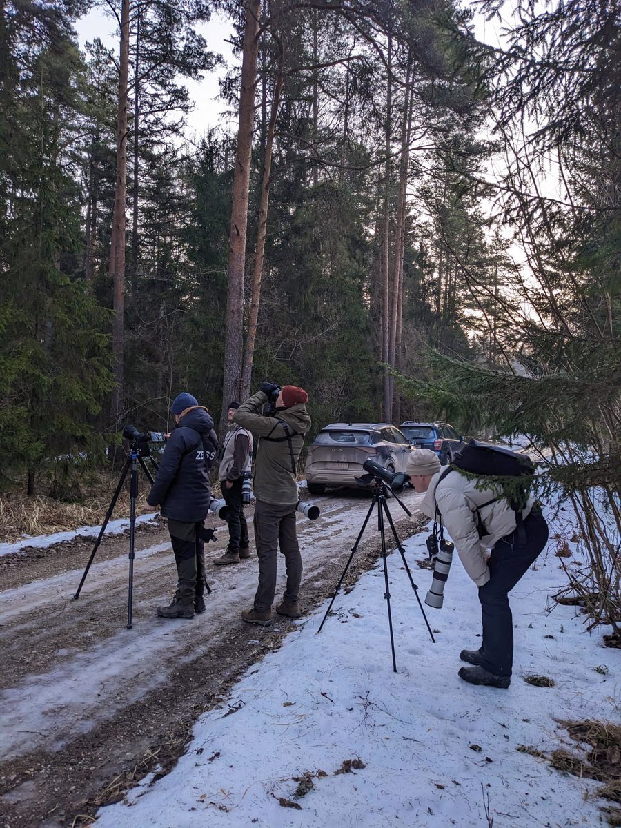 Miles Cluff tweet media