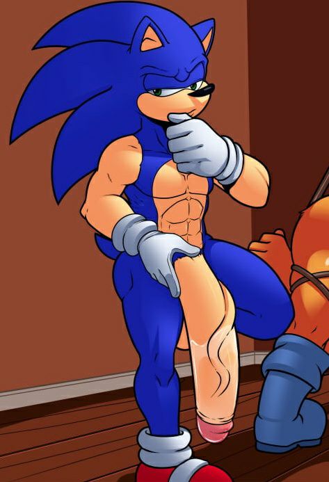 BIG-BLUE!!💙/sonic tweet media