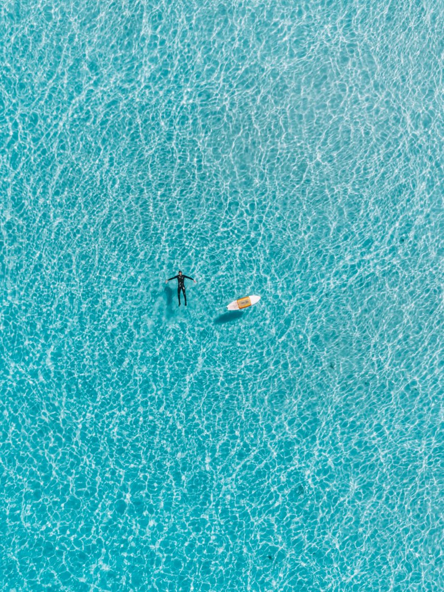 South African Tourism tweet media