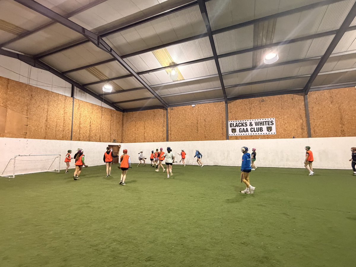 ellen_meagher's tweet photo. For this evening abit of a damper day however that didn’t stop us in Graiguenamanagh boys &amp; girls schools great efforts with both hurling &amp; fundamentals then for this evening our last Camogie/S&amp;C session for U14/U16 camogs… well done everyone 👏🏼👏🏼 #gaa #gpo #gamesdevelopment https://t.co/11b7G0izKU