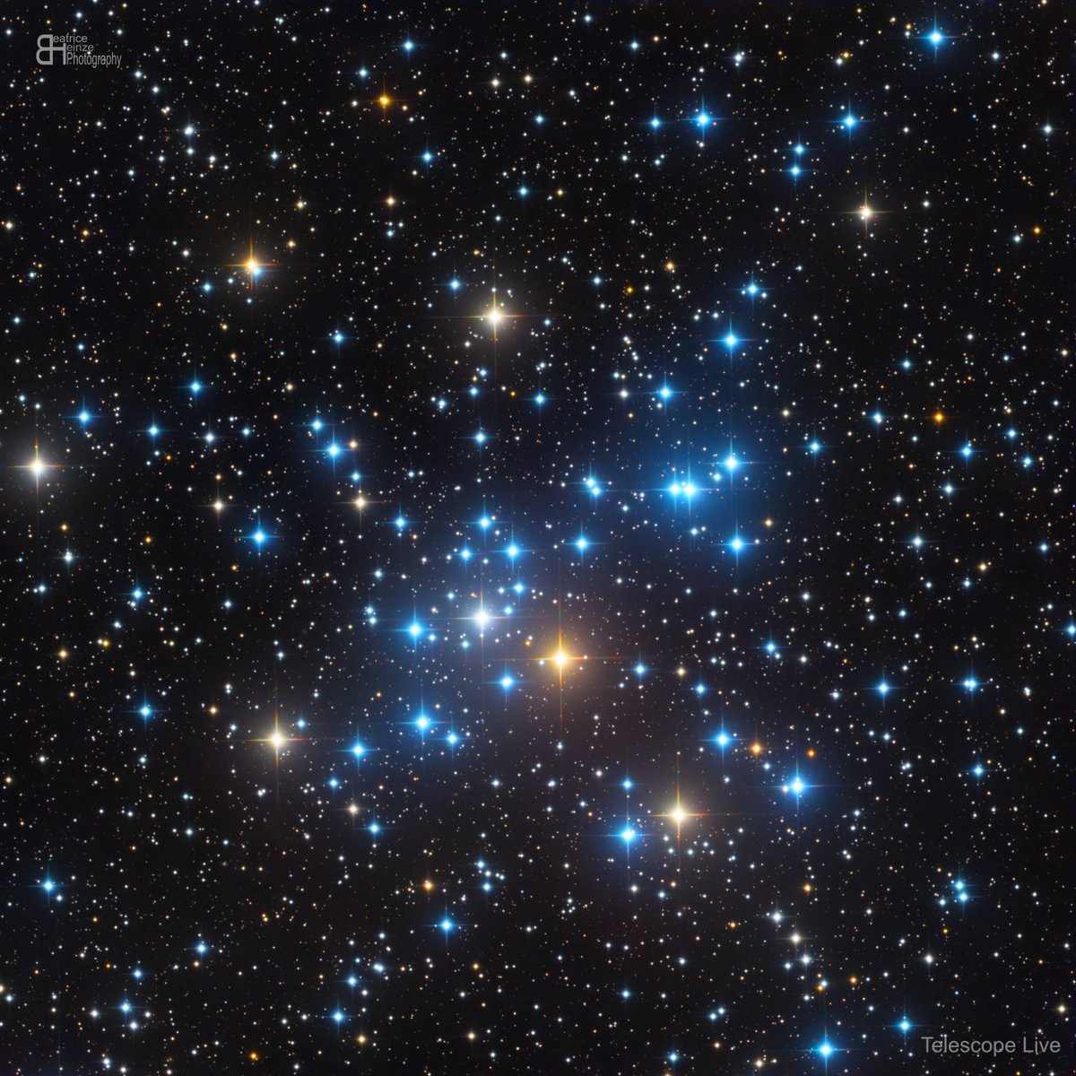 BeatriceHeinze's tweet photo. M41 Little Beehive Cluster (LRGB)

A beautiful open star cluster, also known as NGC 2287, located in the constellation Canis Major, displays its stars like precious jewels in the night sky.

Editing this star cluster was great fun. I also love viewing star clusters through a telescope or binoculars.

My workflow included: GraXpert, SPCC, BlurXT, NoiseXT, Curves Transformation and ImageBlend (to merge luminance and RGB).

Data: Telescope Live
Processing: Beatrice Heinze

Clear Skies!