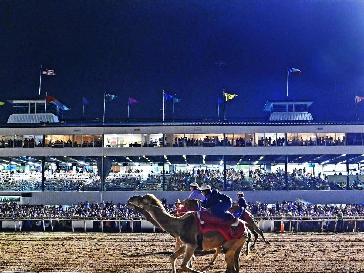 Sam Houston Race Park tweet media