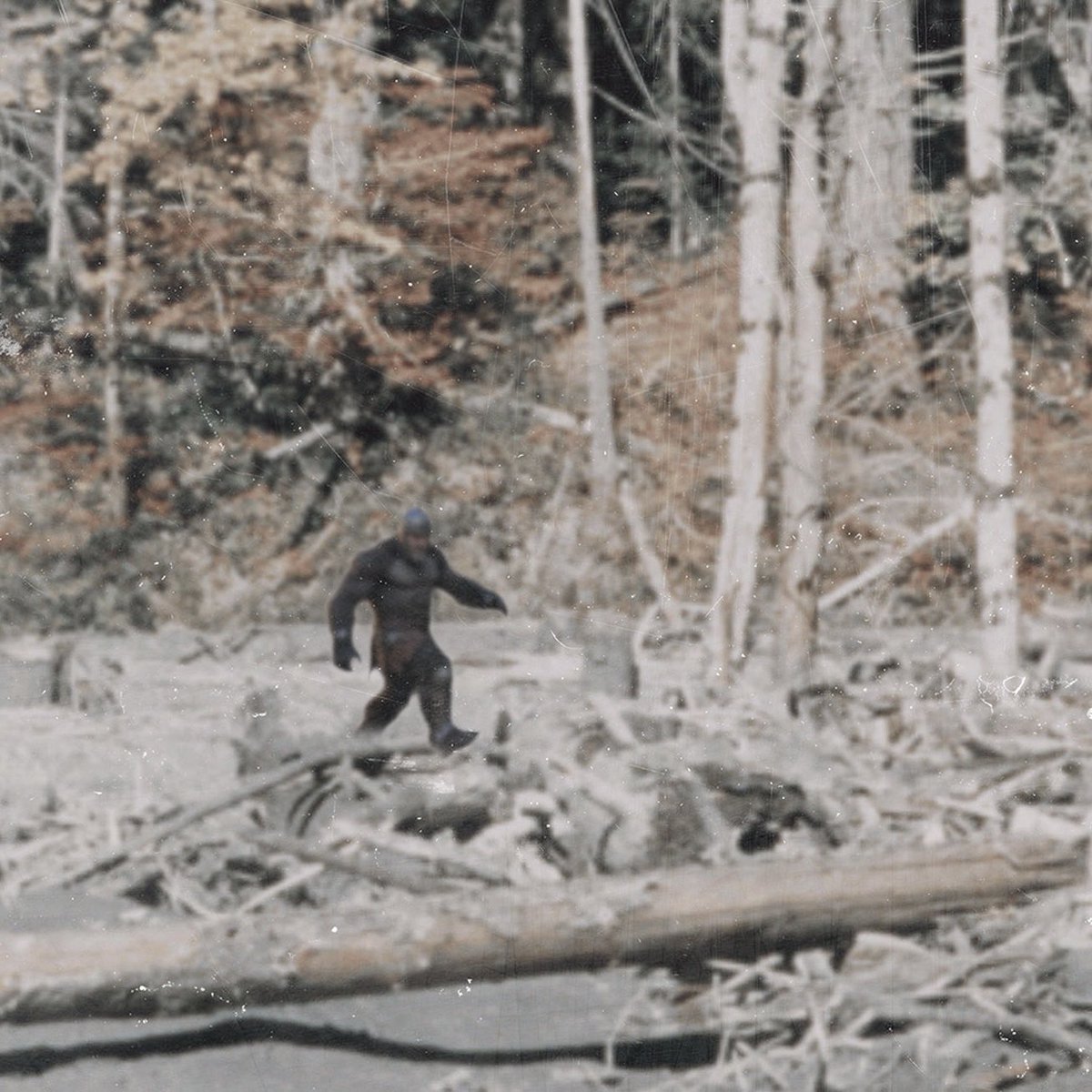 Machi Big Brother tweet media