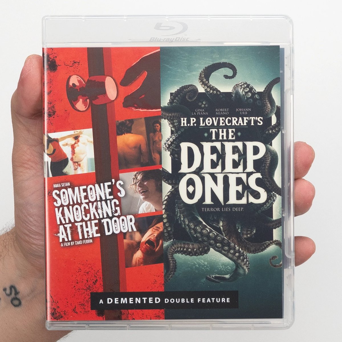 OCN Distribution tweet media